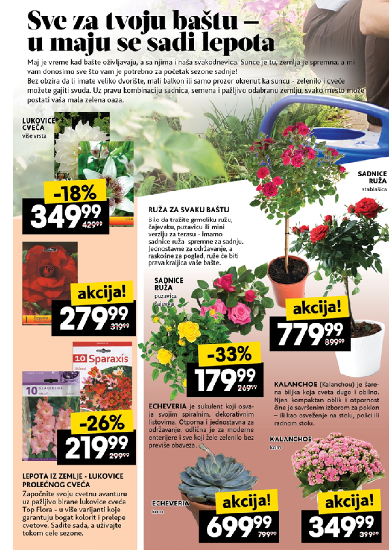 Idea katalog 1-7.5.2025.