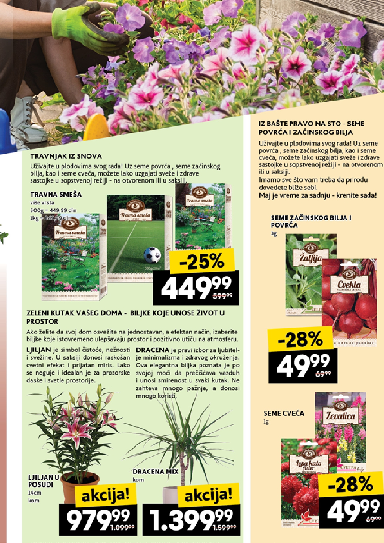 Idea katalog 1-7.5.2025.
