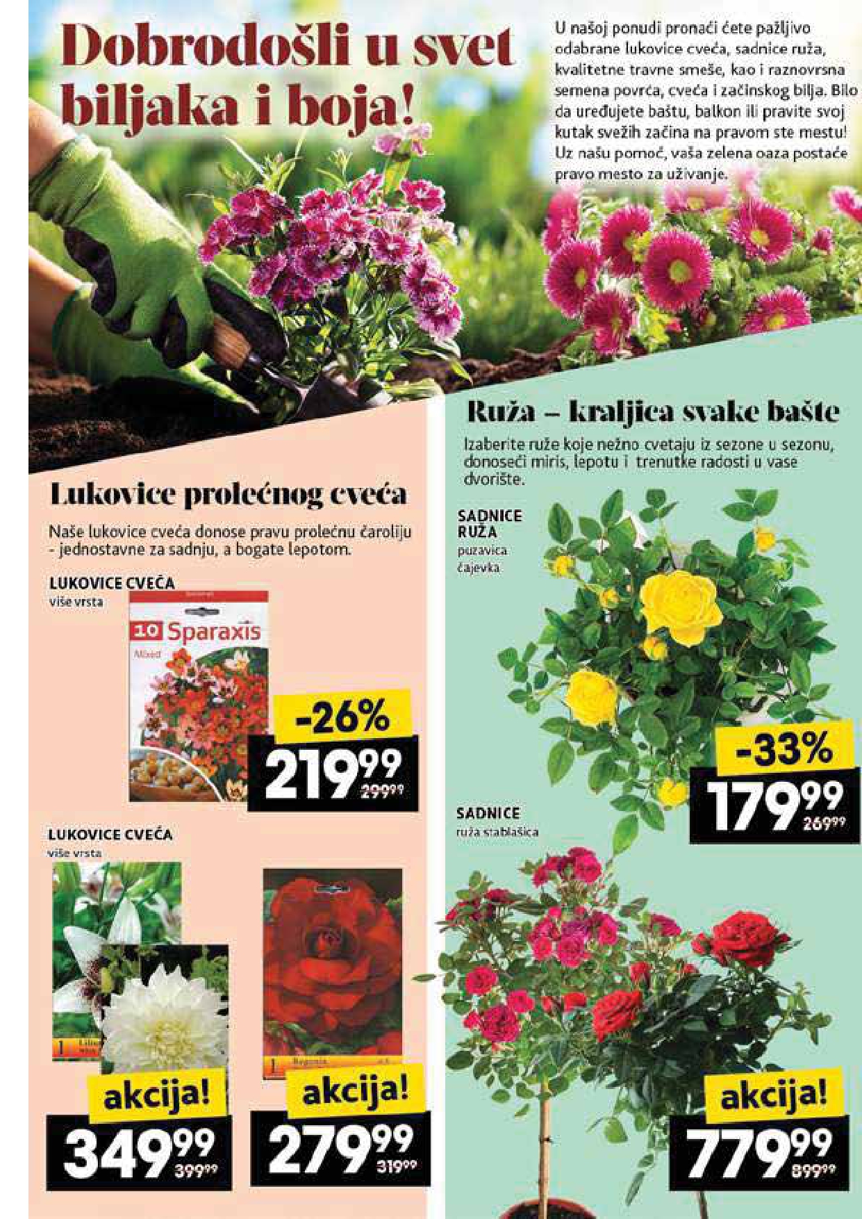 Idea katalog 8-14.5.2025.