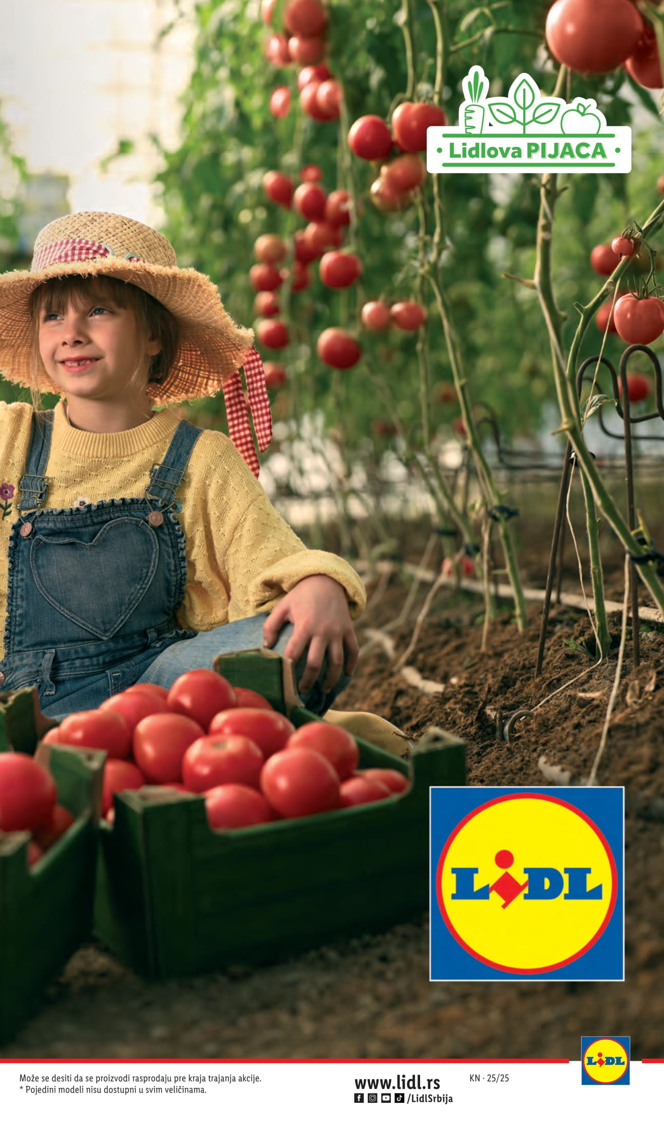 Lidl katalog 19-25.06.2025.