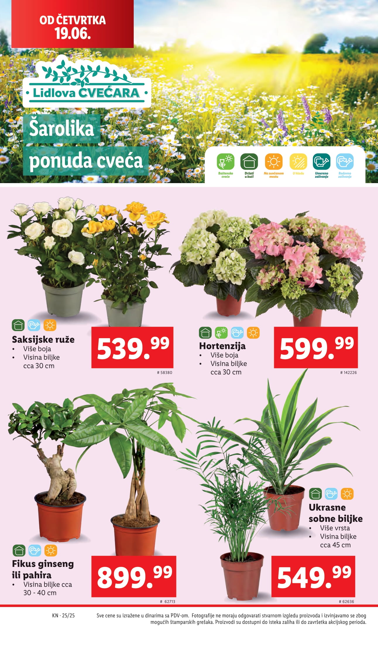 Lidl katalog 19-25.06.2025.