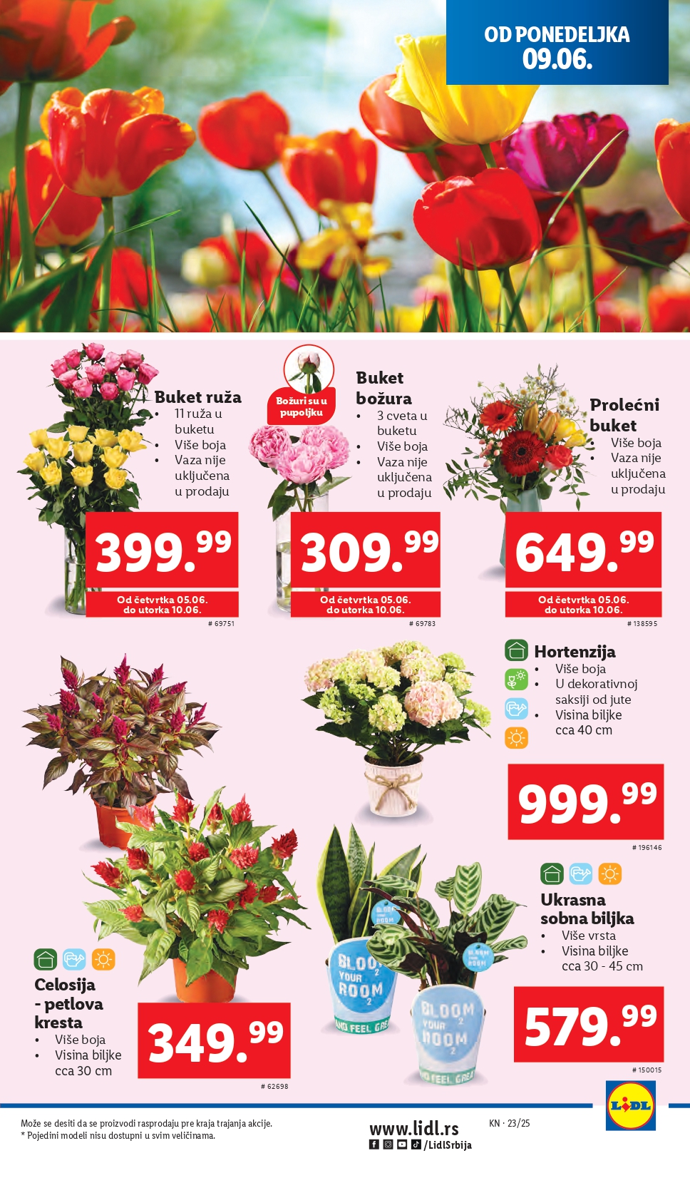 Lidl katalog PREHRANA 5-11.6.2025.