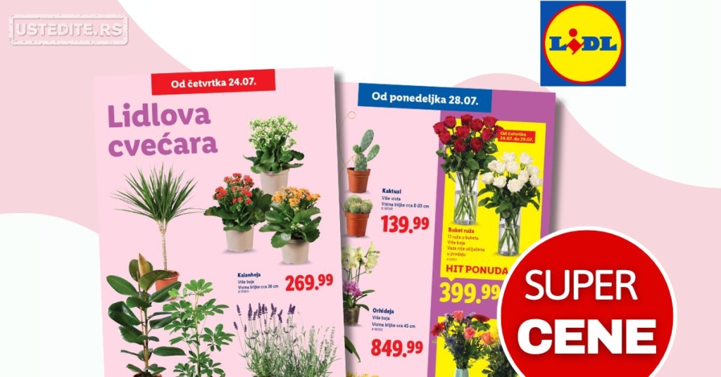 Lidl CVEĆARA 24-30.7.2025.