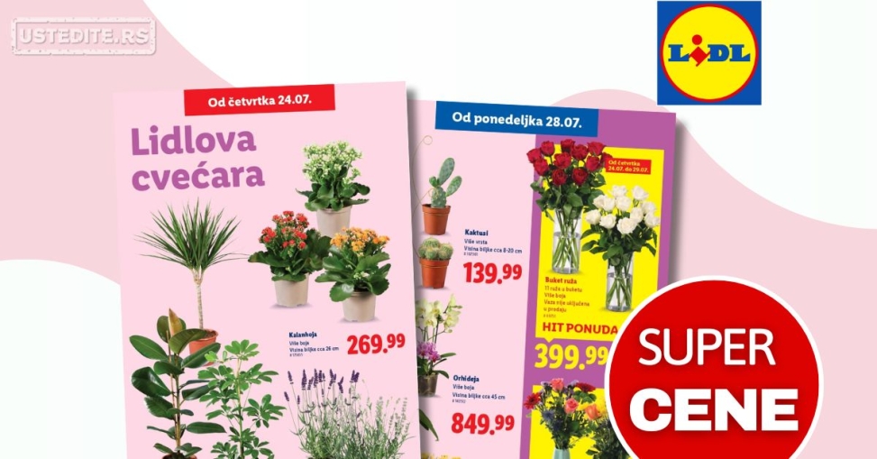 Lidl CVEĆARA 24-30.7.2025.