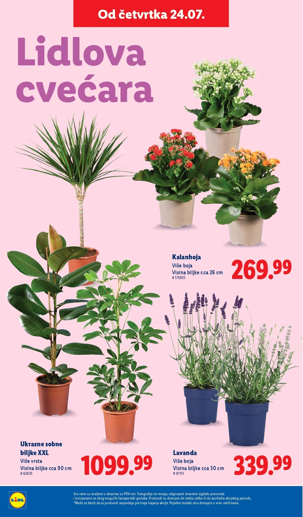 Lidl CVEĆARA 24-30.7.2025.