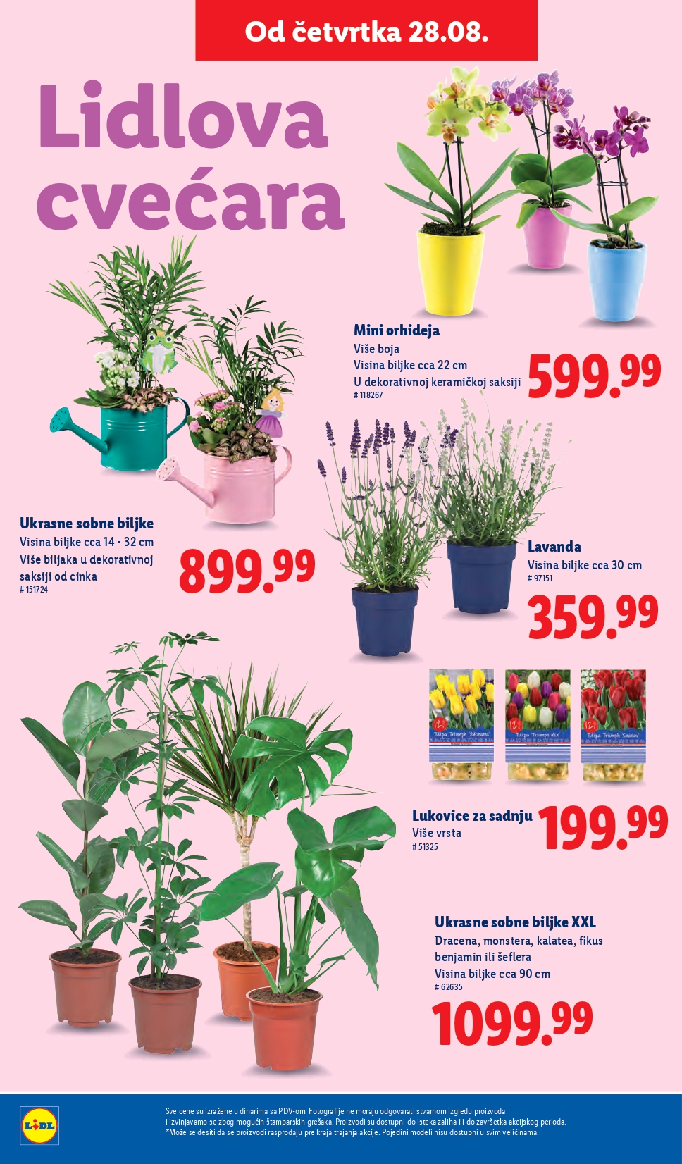 Lidl katalog PREHRANA 28.8-3.9.2025.