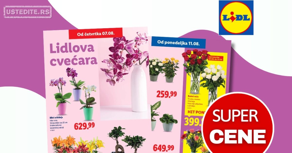 Lidl CVEĆARA 7-13.8.2025.