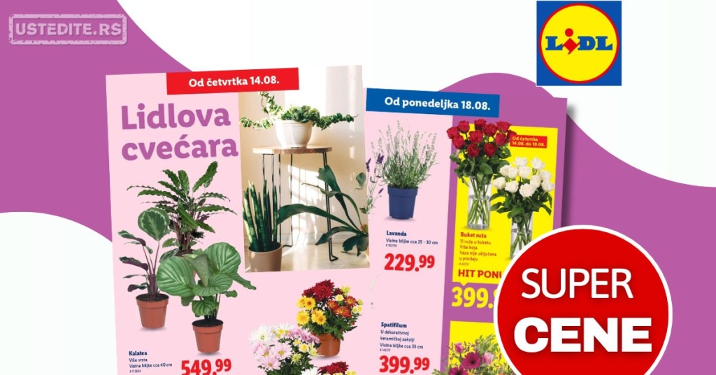 Lidl CVEĆARA 14-20.8.2025.
