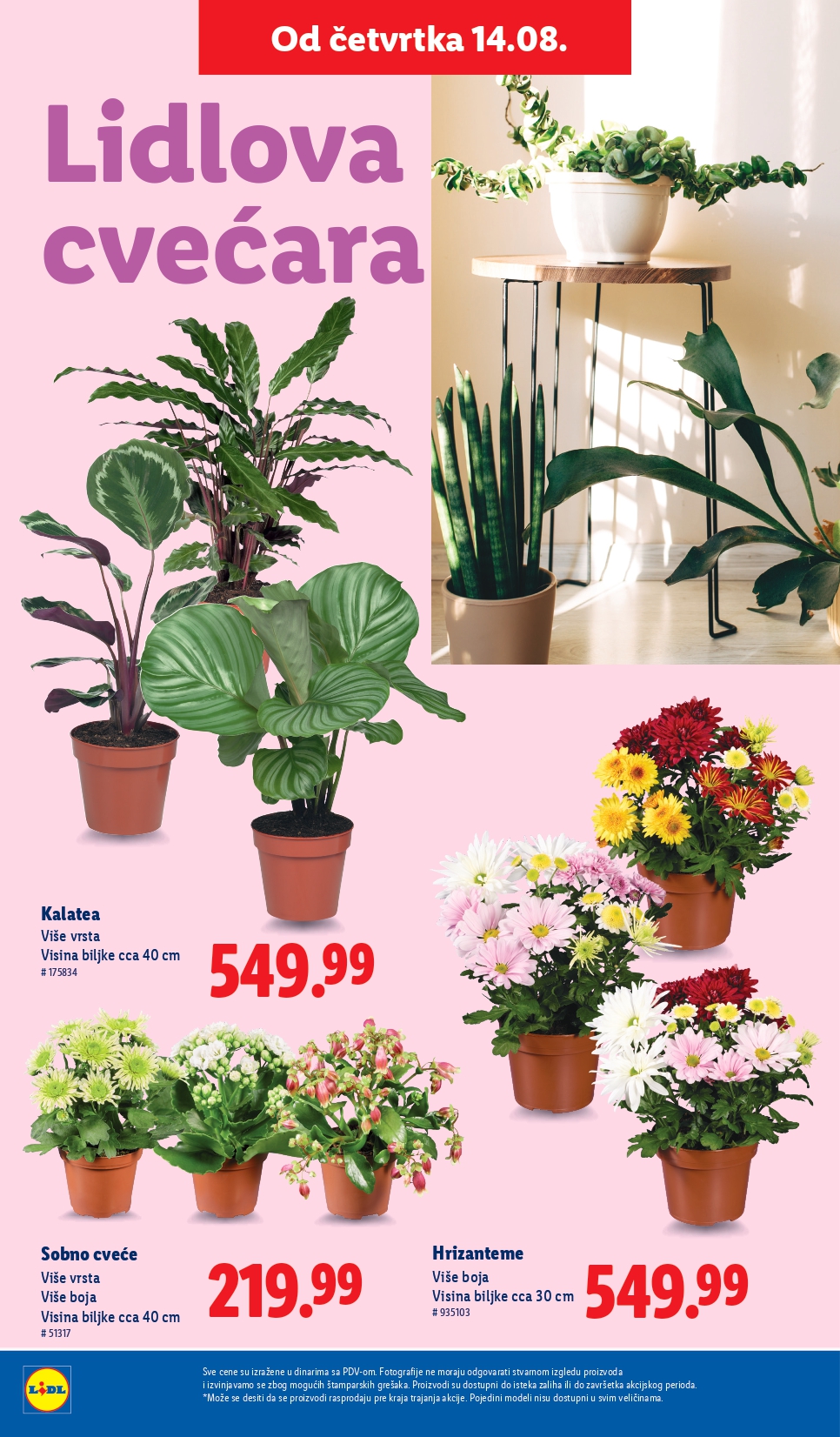 Lidl katalog PREHRANA 14-20.8.2025.