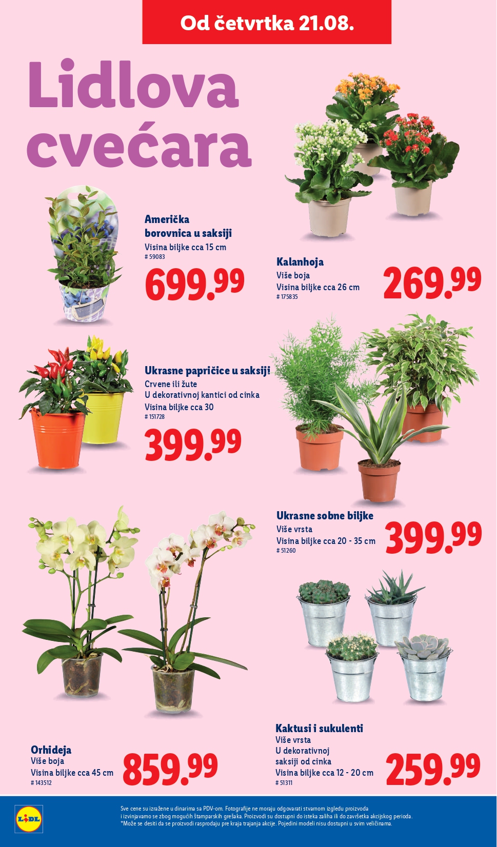 Lidl katalog PREHRANA 21-27.8.2025.