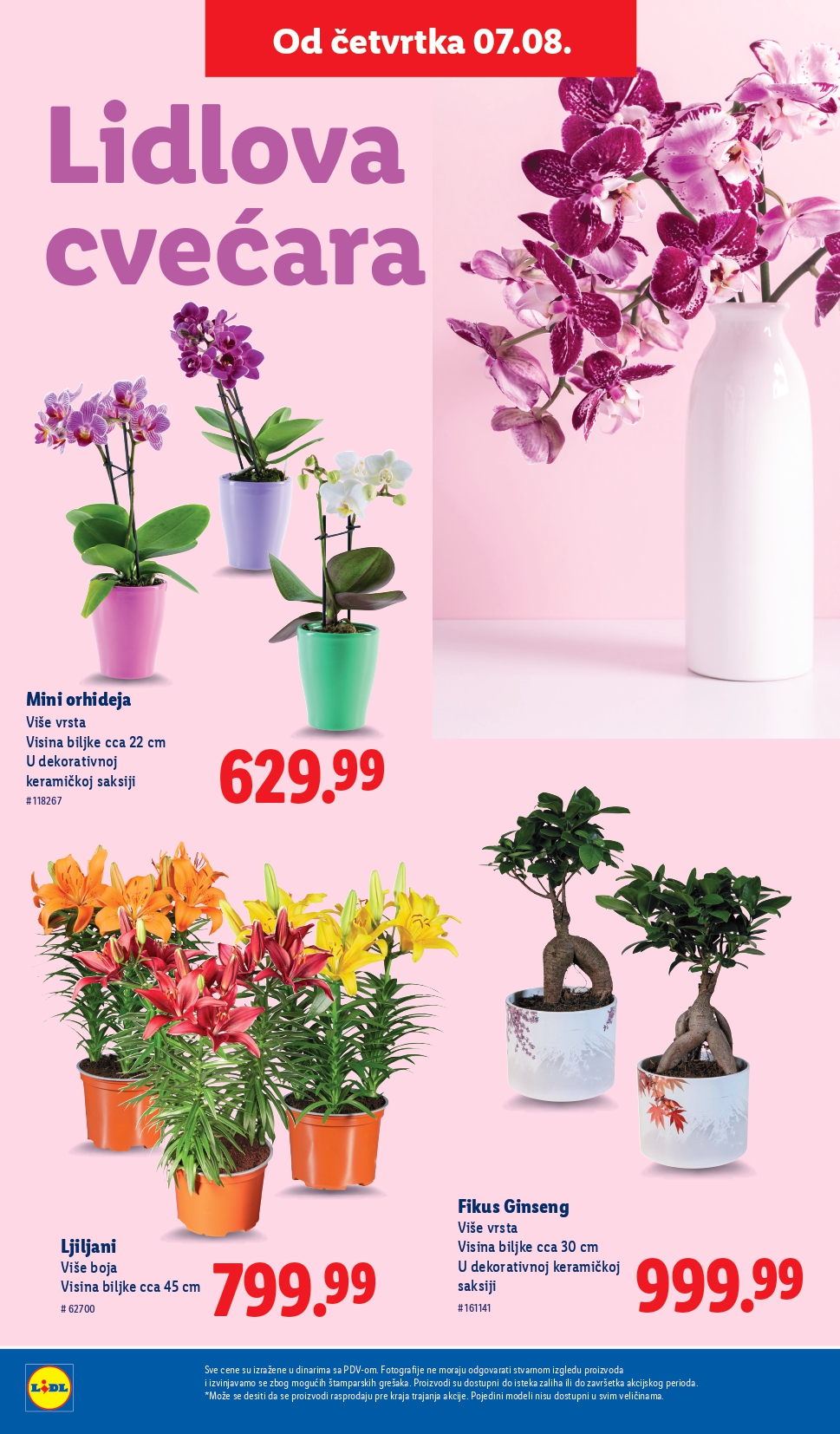 Lidl katalog PREHRANA 7-13.8.2025.