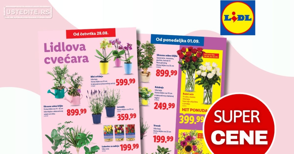Lidl CVEĆARA 28.8-3.9.2025.