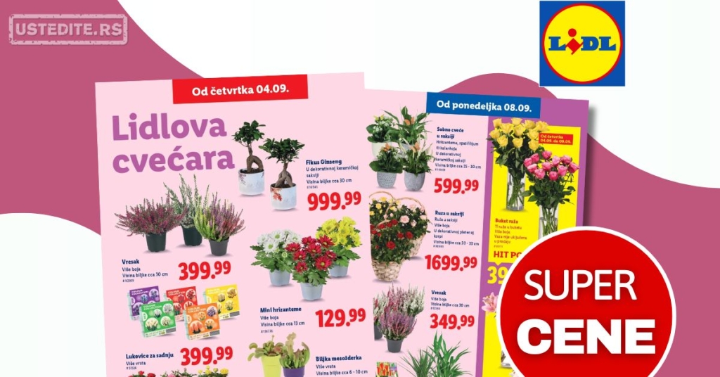 Lidl CVEĆARA 4-10.9.2025.