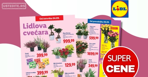 Lidl CVEĆARA 4-10.9.2025.