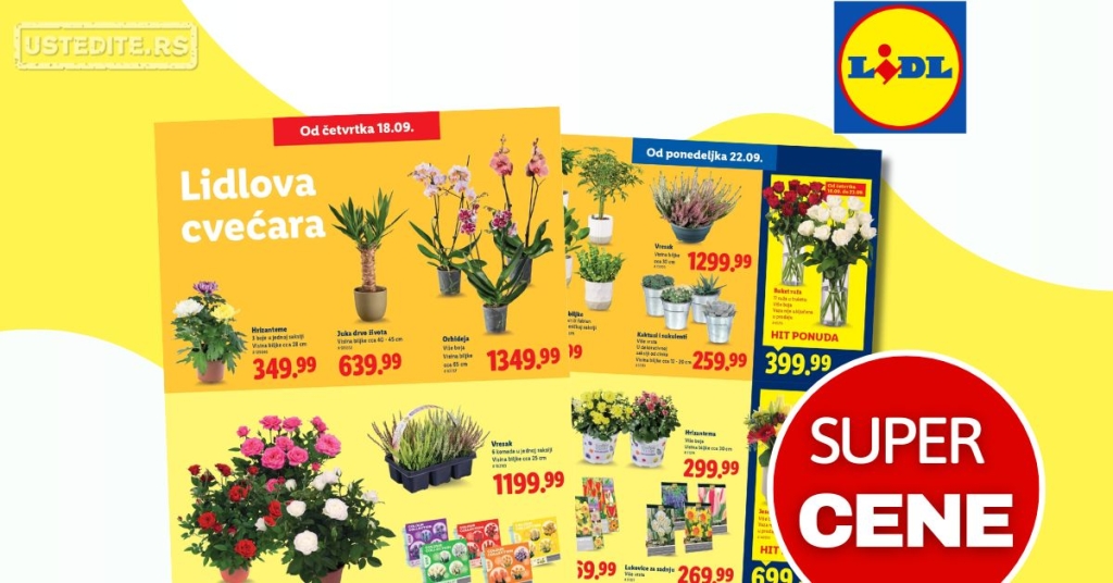 Lidl CVEĆARA 18-24.9.2025.