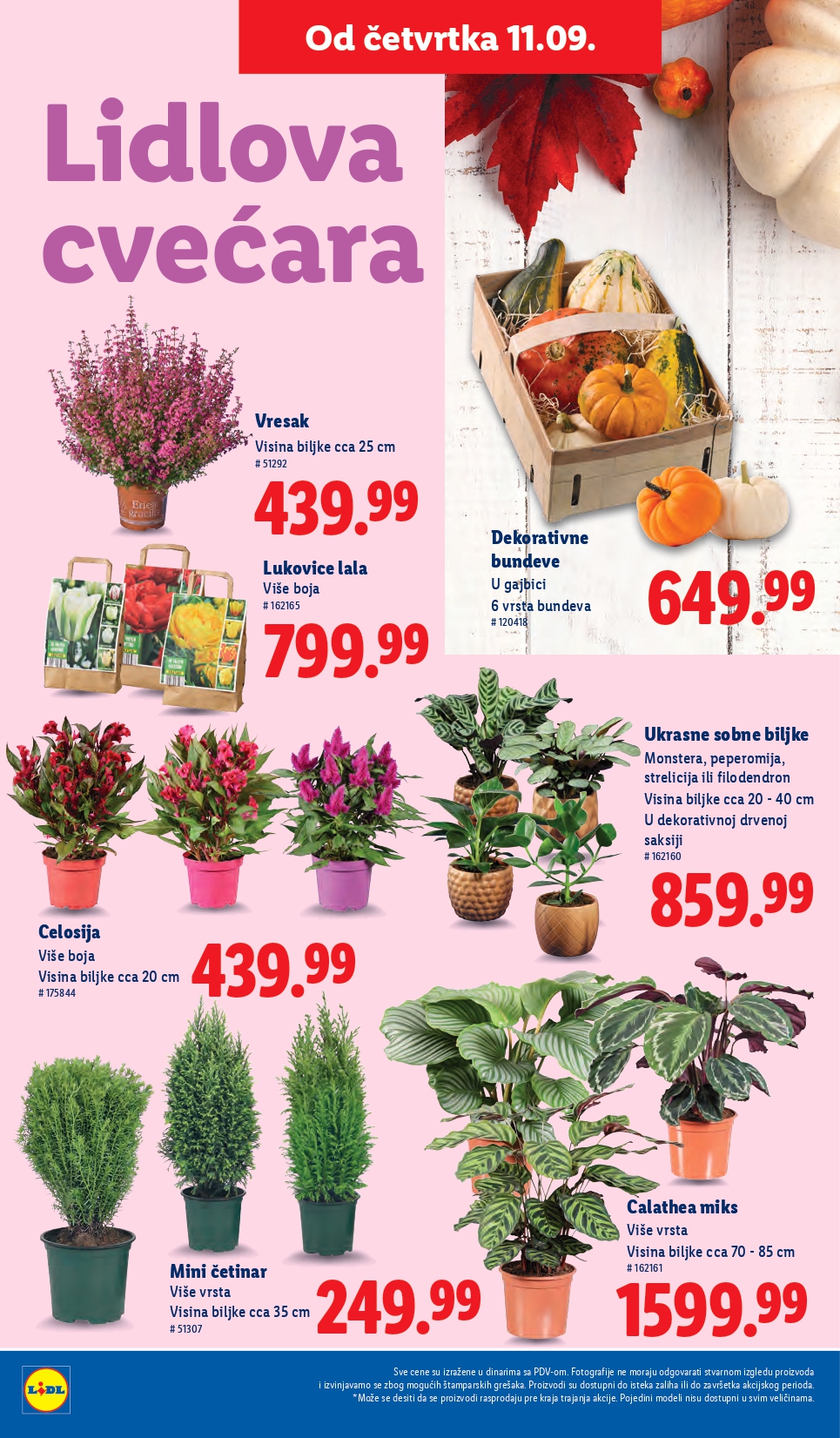 Lidl katalog PREHRANA 11-17.9.2025.