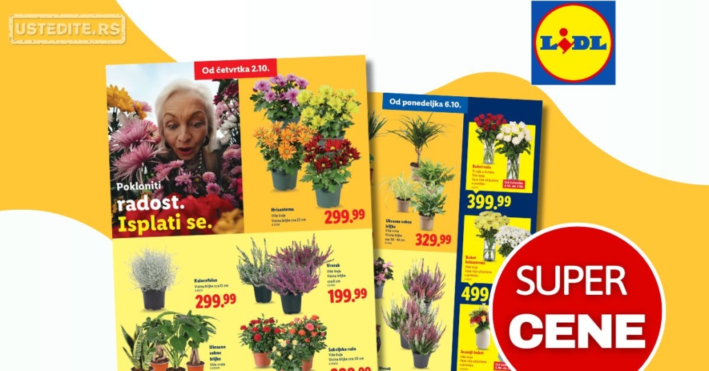 Lidl CVEĆARA 2-9.10.2025.