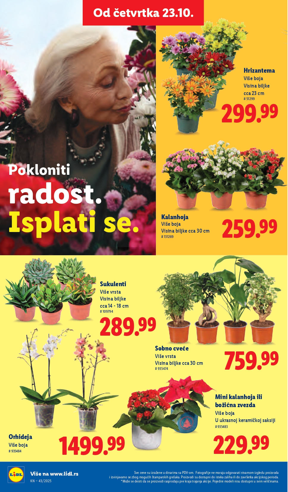 Lidl katalog 23-29.10.2025.