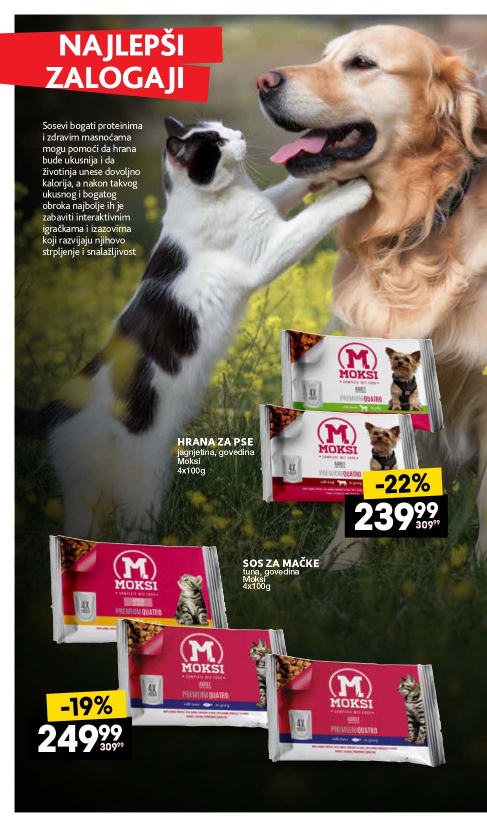 Roda & Idea katalog KUĆNI LJUBIMCI 2-28.10.2025.