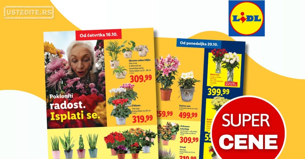 Lidl CVEĆARA 16-22.10.2025.