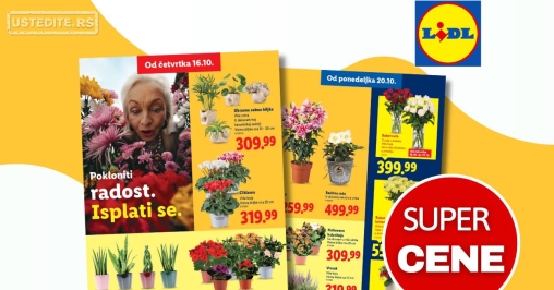 Lidl CVEĆARA 16-22.10.2025.