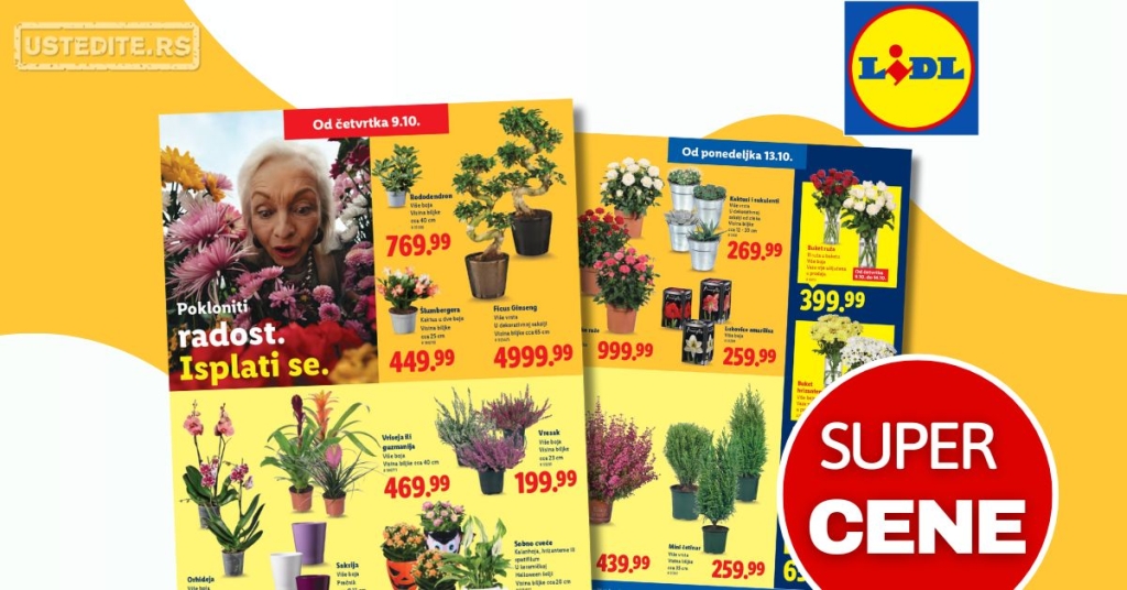 Lidl CVEĆARA 9-15.10.2025.