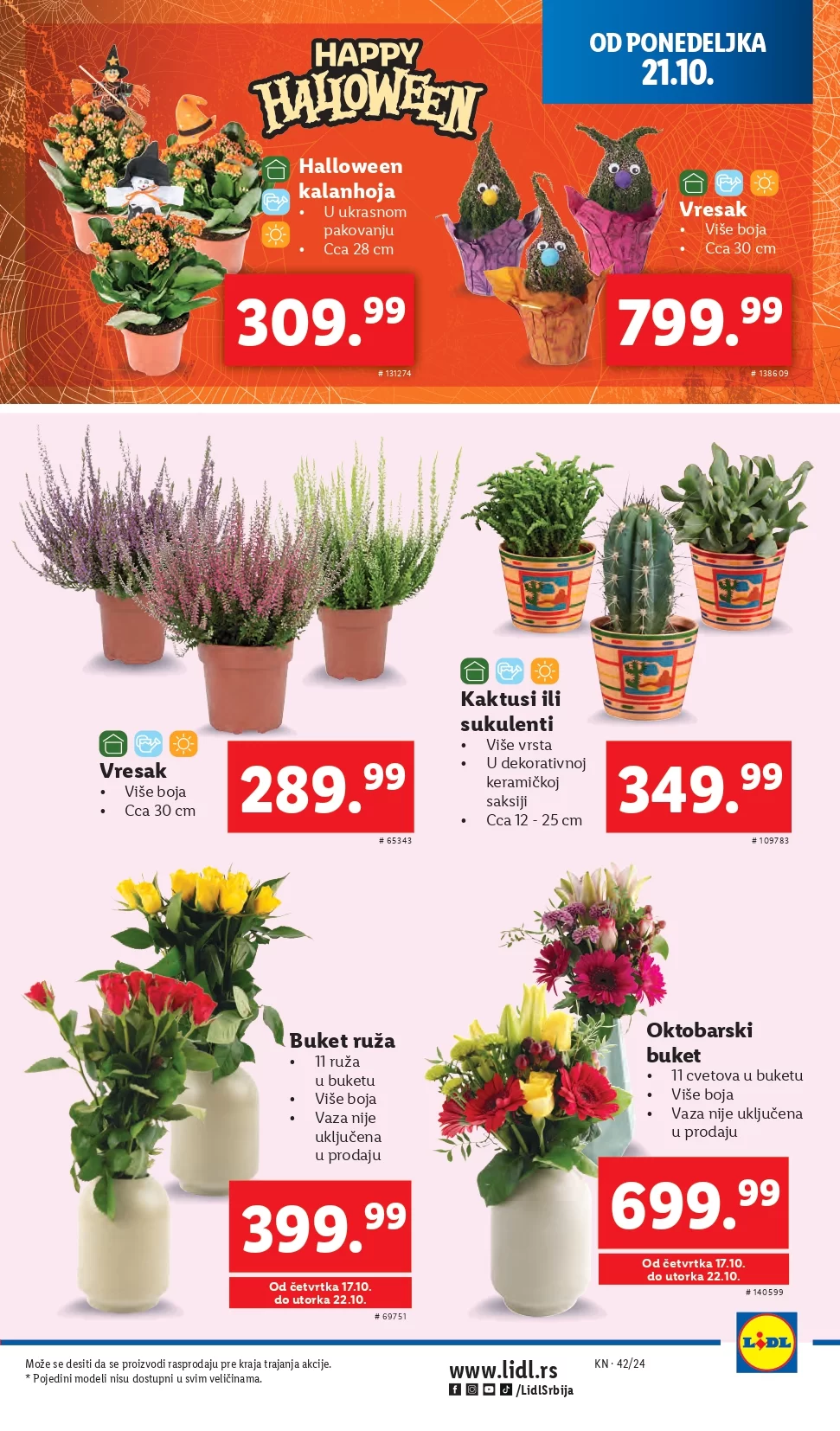 Lidl katalog 17-23.10.2024.
