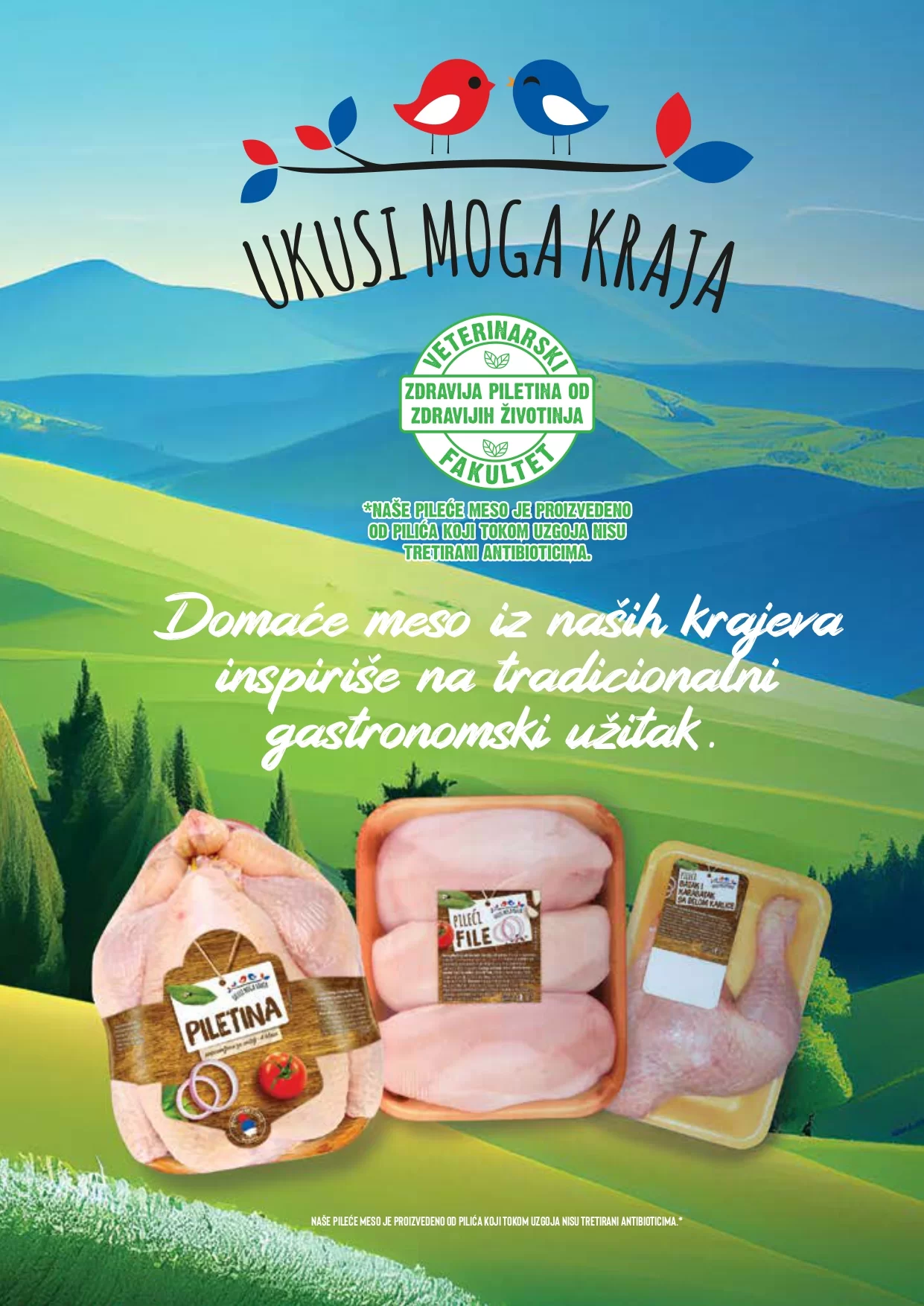 Idea katalog MESO 18-27.11.2024.