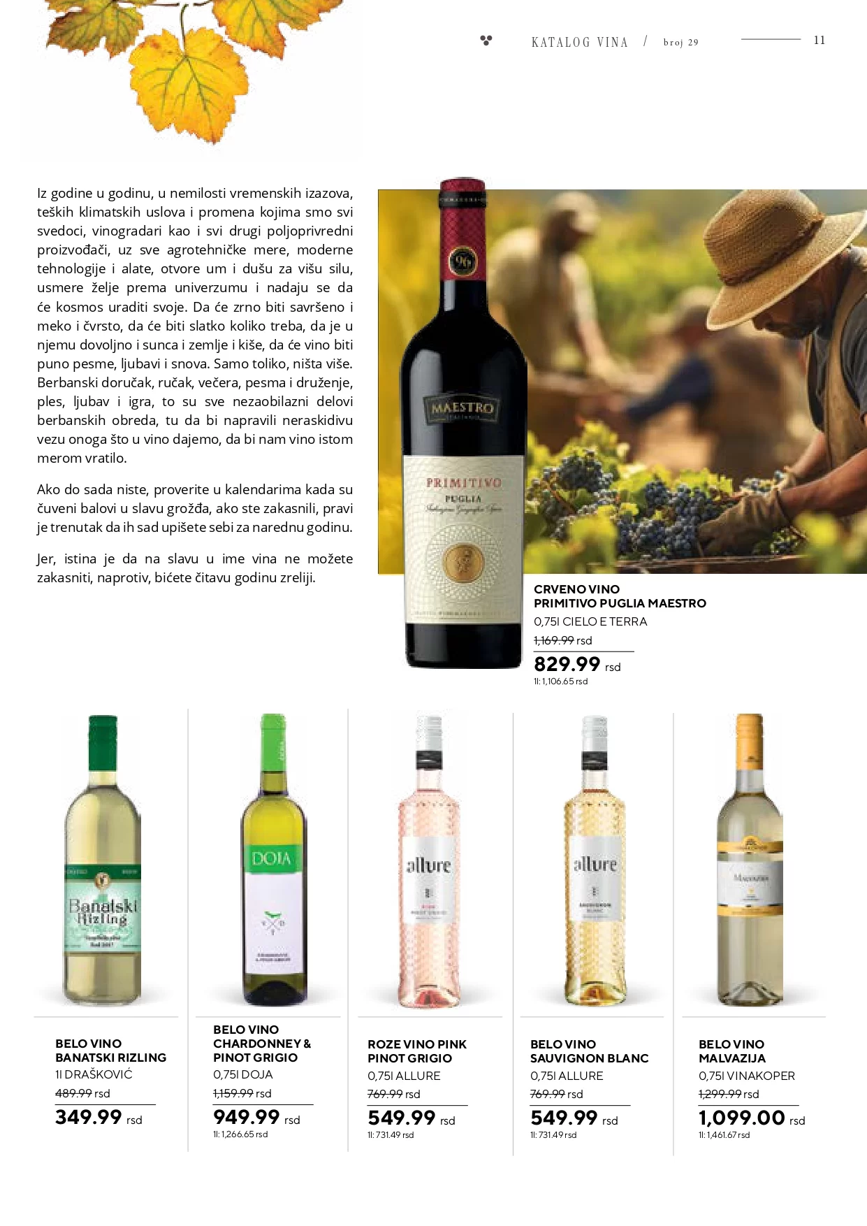 Roda & Idea katalog VINA 25.10-24.11.2024.