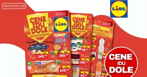 Lidl katalog CENE IDU DOLE 1-31.12.2024.