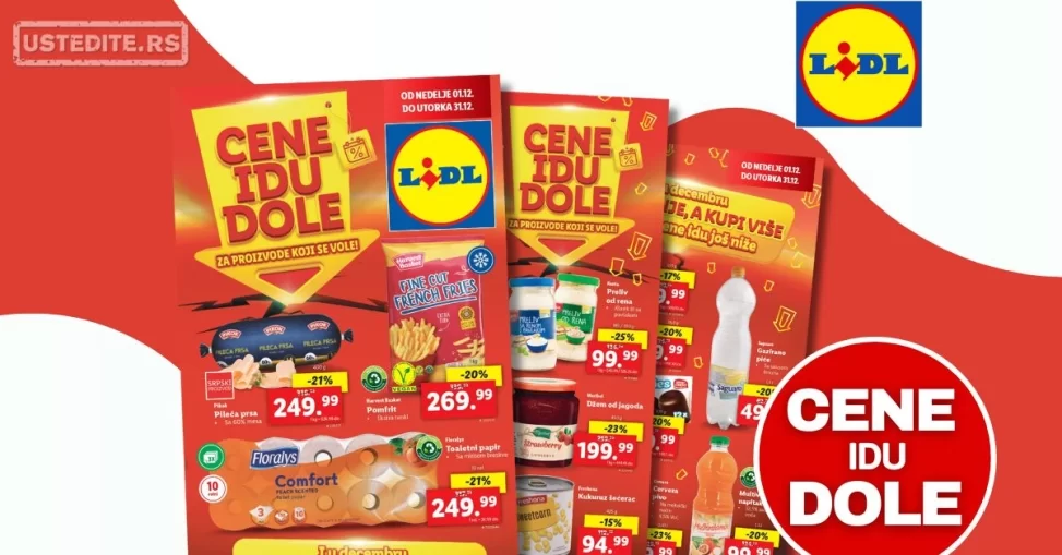 Lidl katalog CENE IDU DOLE 1-31.12.2024.