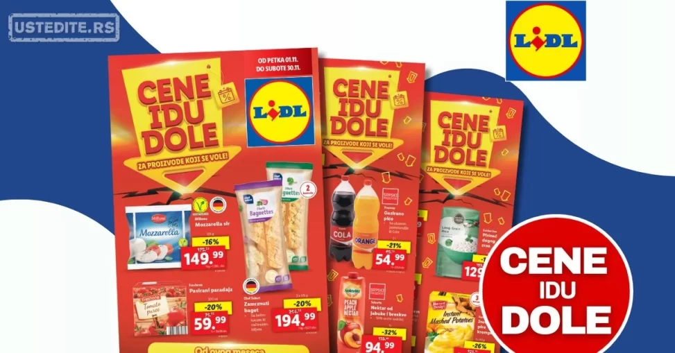 Metro katalog SAD ILI NIKAD 1-30.11.2024.
