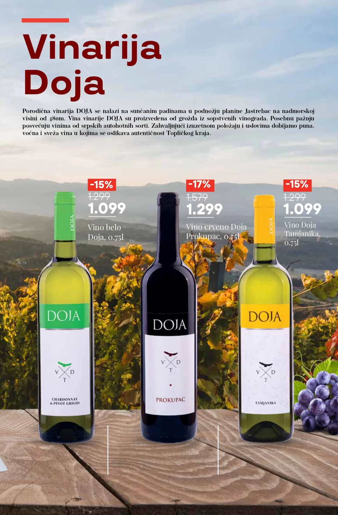 Mega Maxi katalog VINA 31.10-27.11.2024.