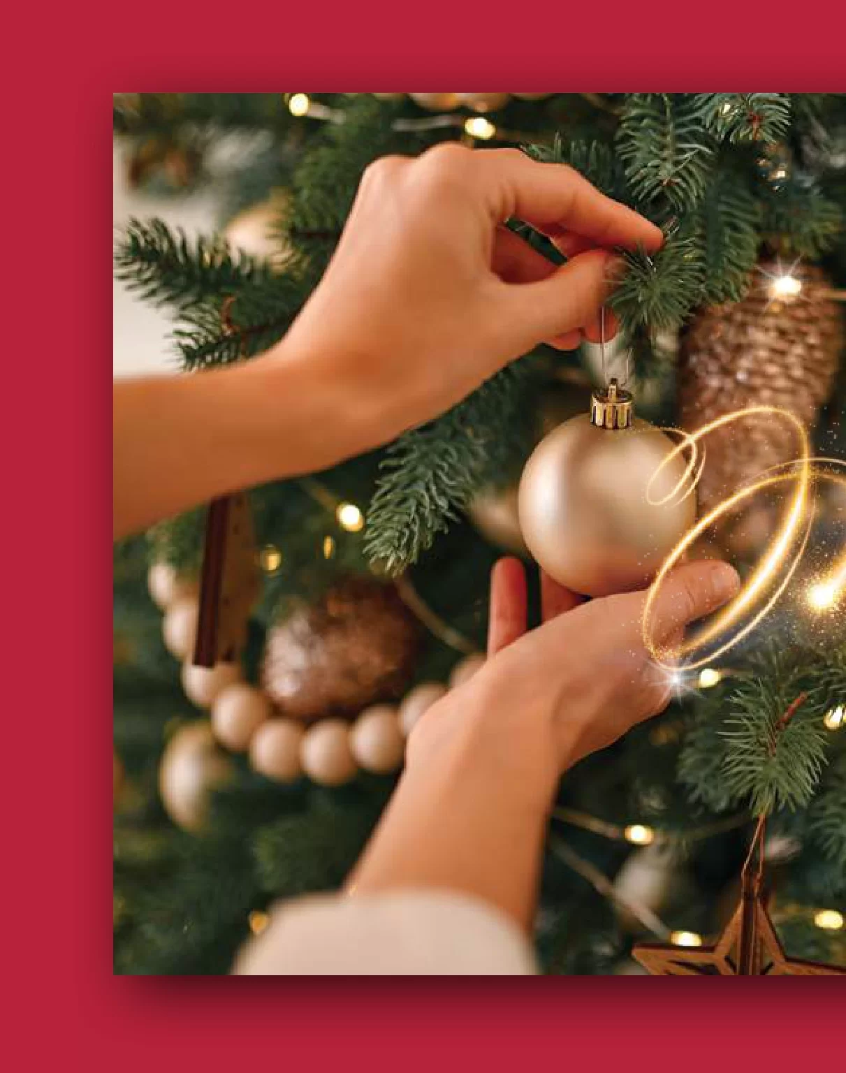 Roda & Idea katalog PRAZNICI 18.11-14.12.2024.