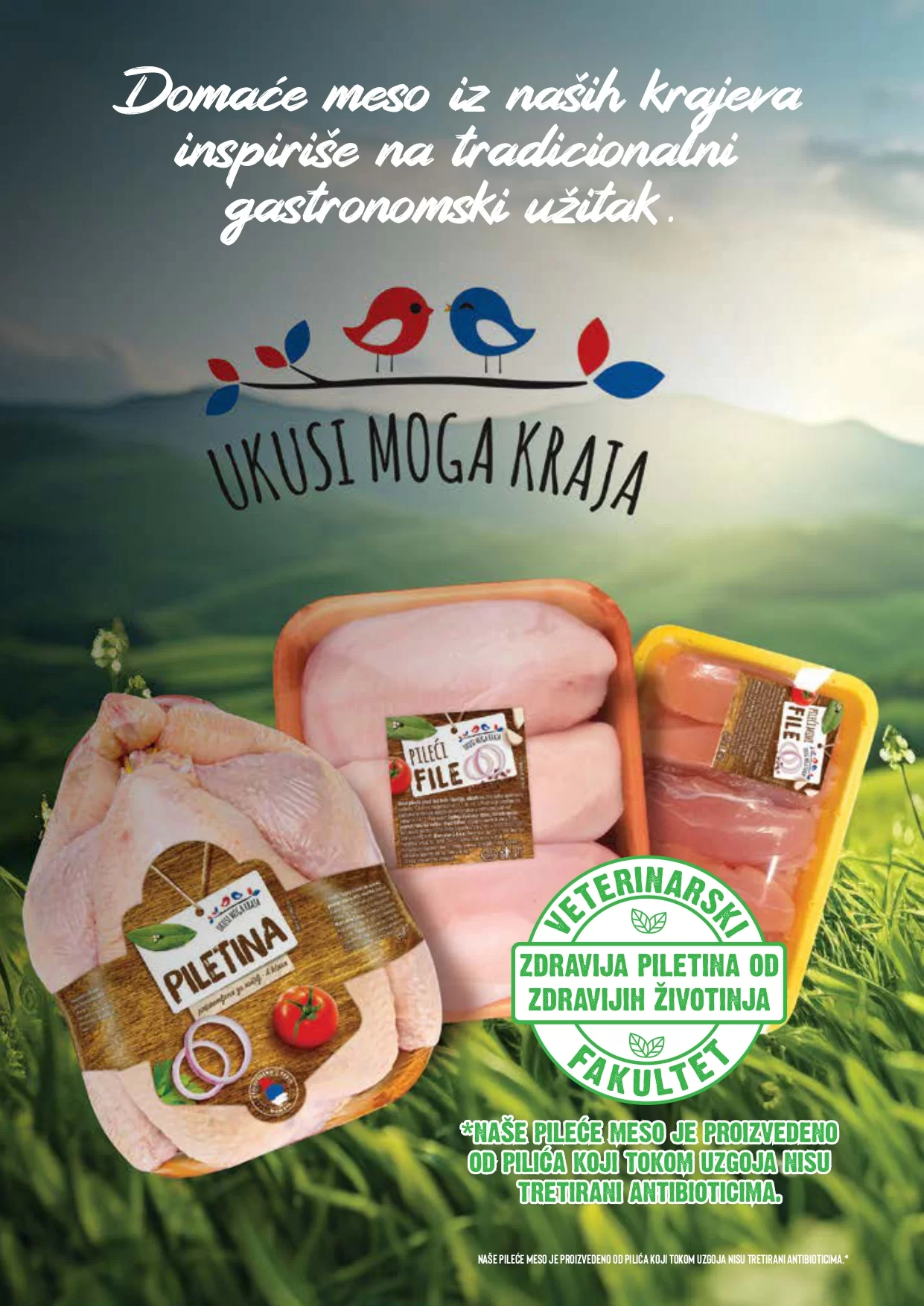 Roda & Idea katalog 7-17.11.2024.