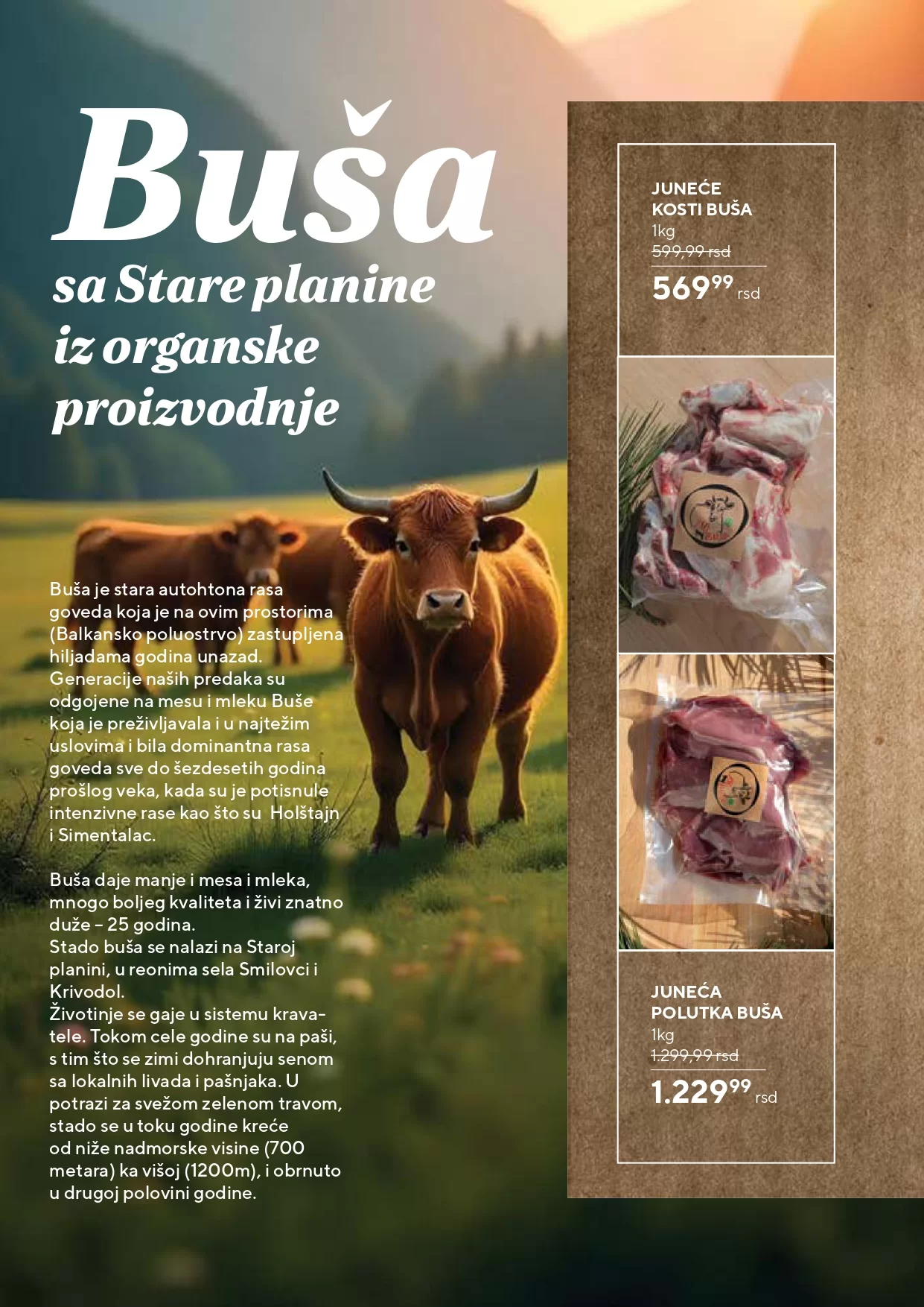 Roda & Idea katalog 7-17.11.2024.