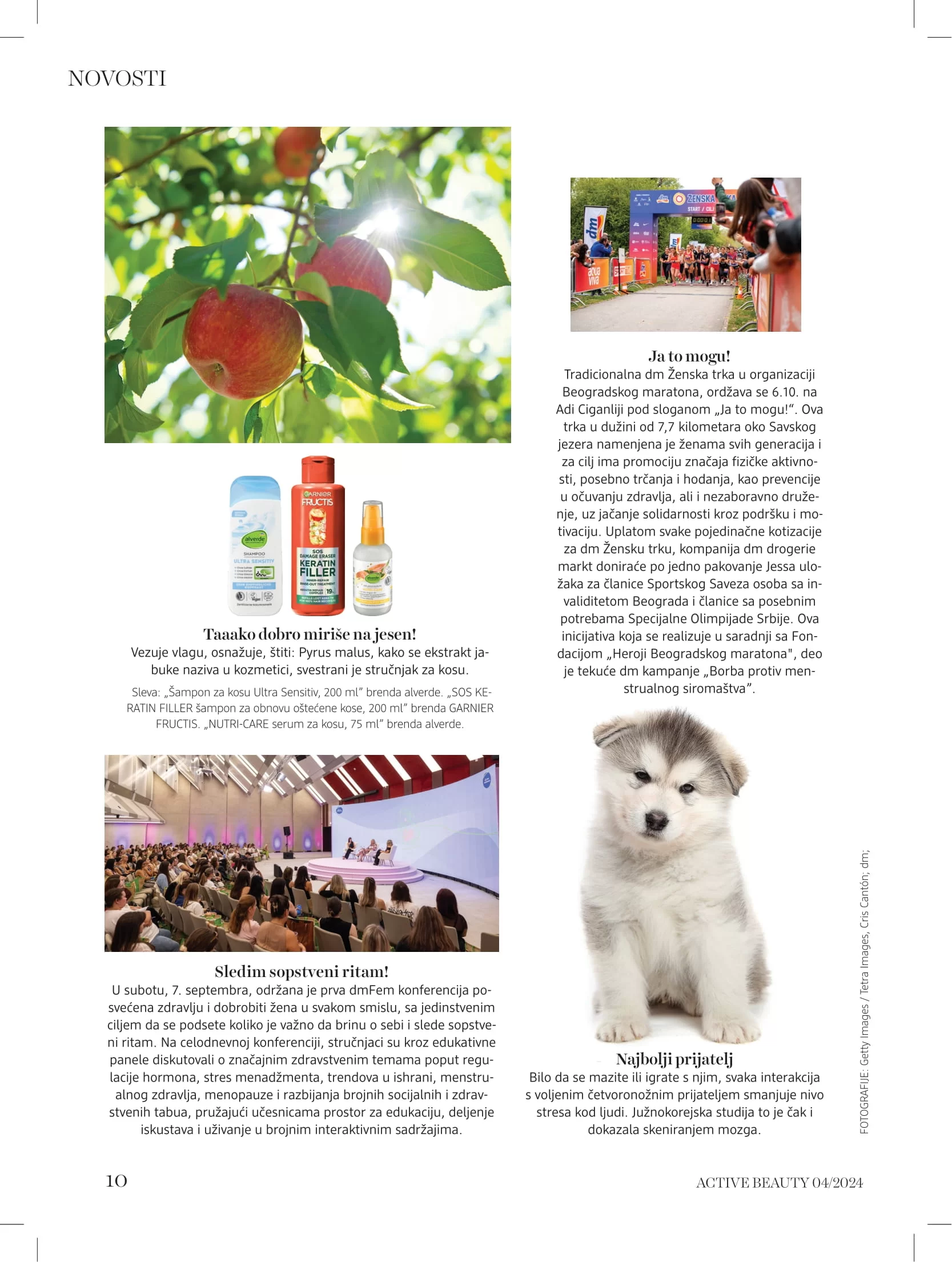 dm Katalog oktobar/novembar 2024.