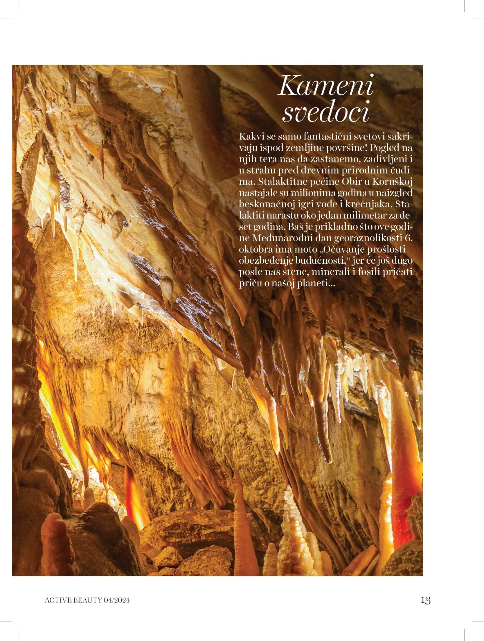 dm Katalog oktobar/novembar 2024.