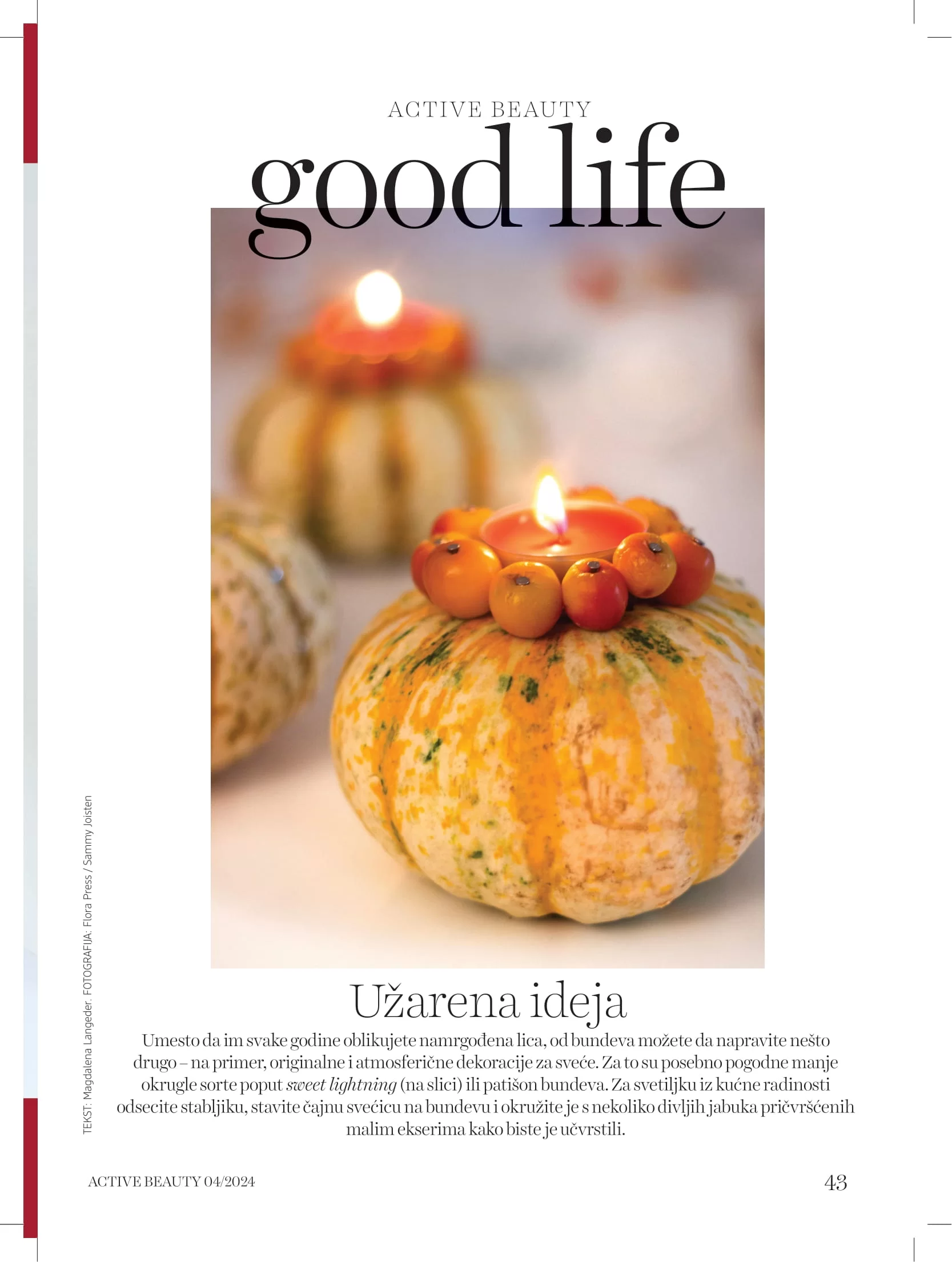 dm Katalog oktobar/novembar 2024.