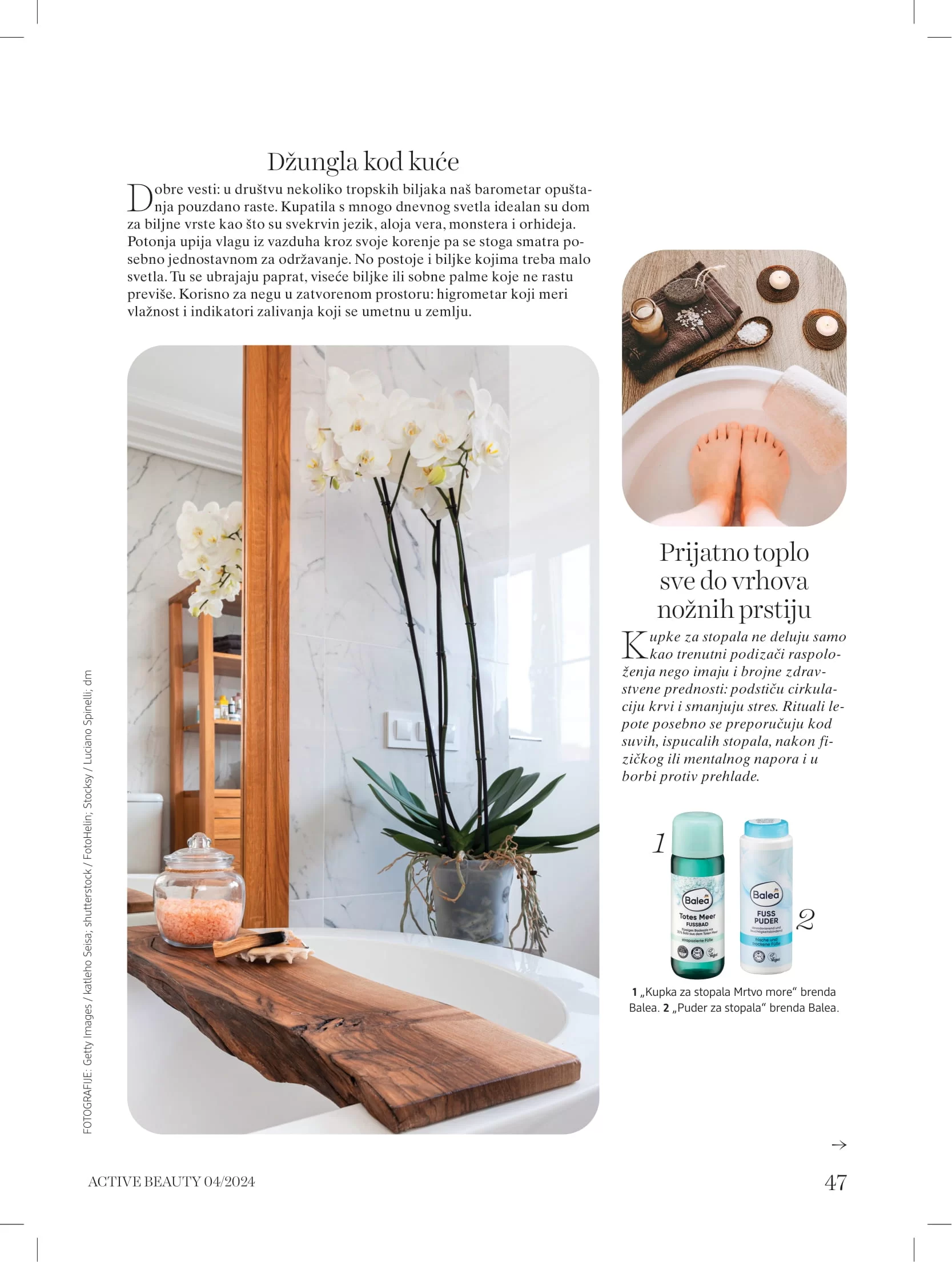 dm Katalog oktobar/novembar 2024.