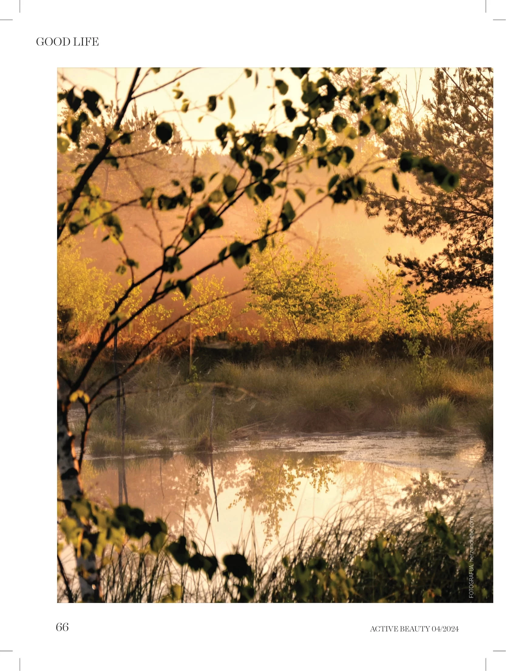 dm Katalog oktobar/novembar 2024.