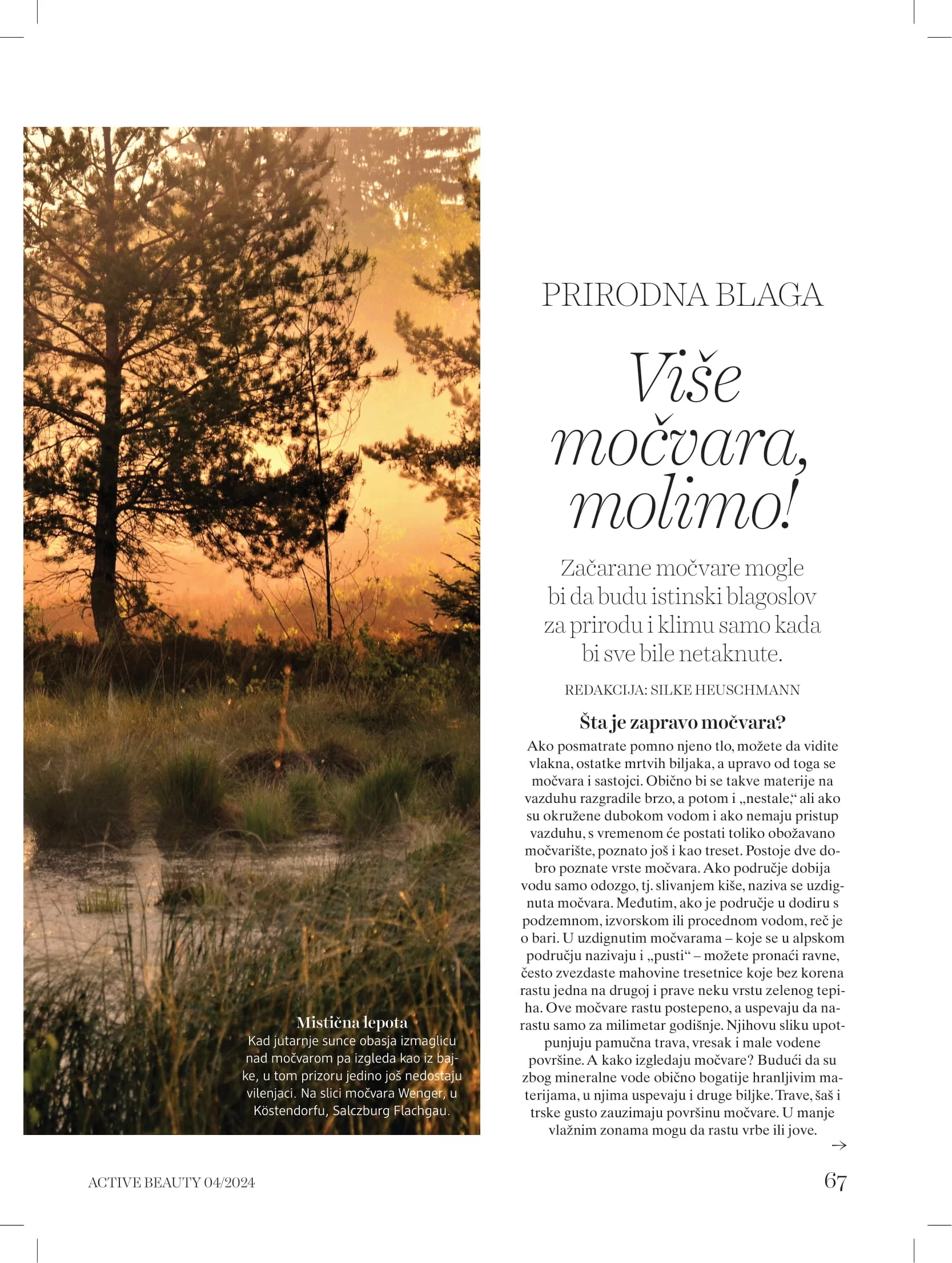 dm Katalog oktobar/novembar 2024.