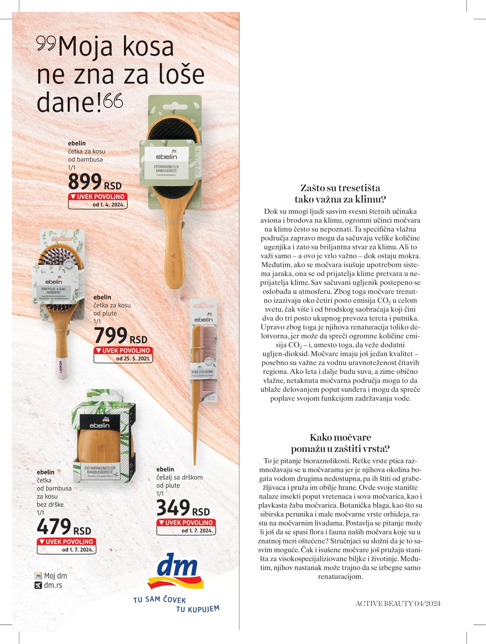 dm Katalog oktobar/novembar 2024.