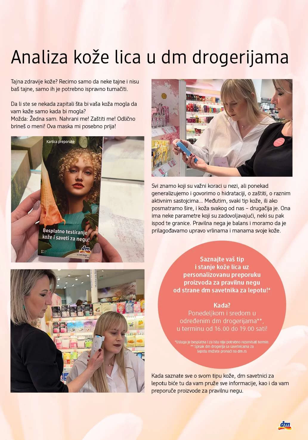 dm Katalog novembar 2024.