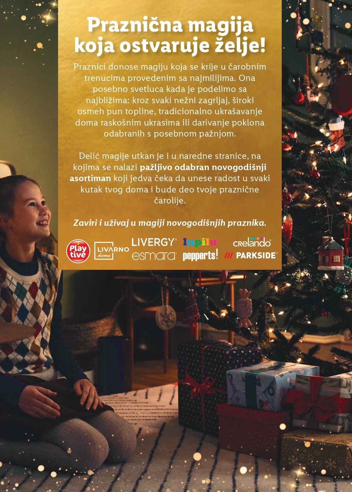 Lidl katalog NOVOGODIŠNJA MAGIJA 28.11.2024. do isteka zaliha