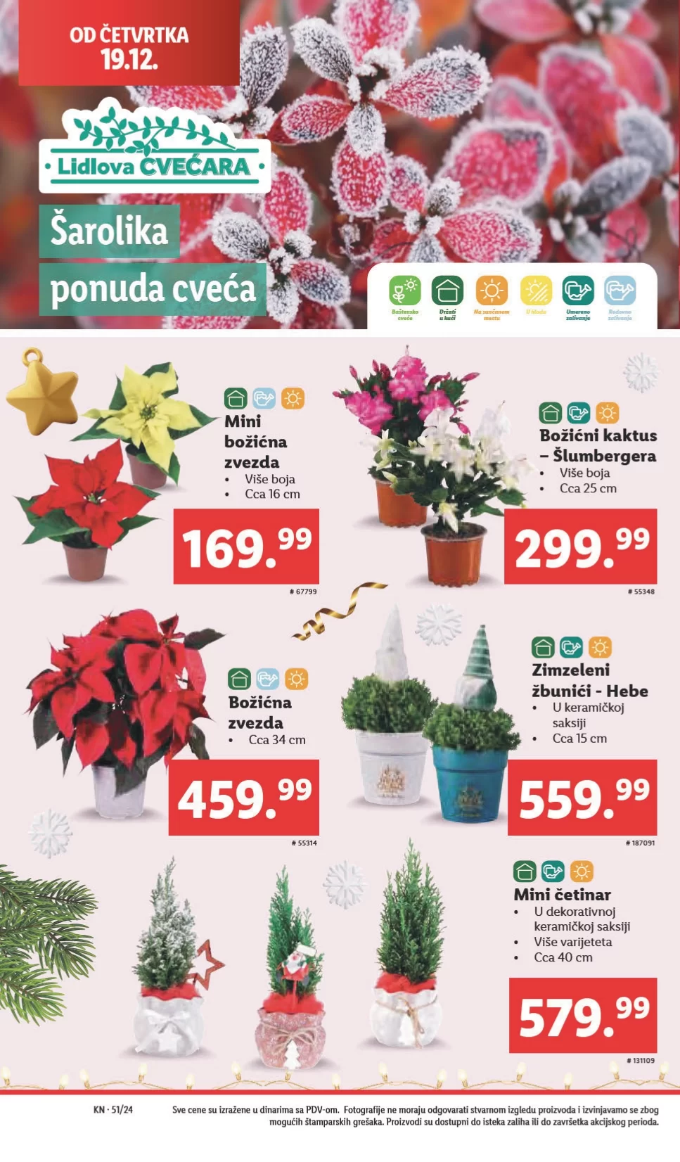 Lidl katalog PREHRANA 19-25.12.2024.
