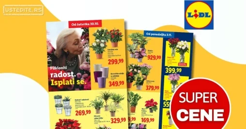 Lidl CVEĆARA 30.10-5.11.2025.