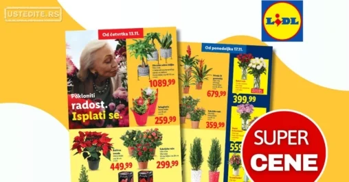 Lidl CVEĆARA 13-19.11.2025.
