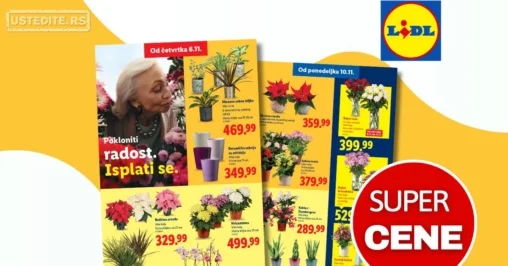 Lidl CVEĆARA 6-12.11.2025.