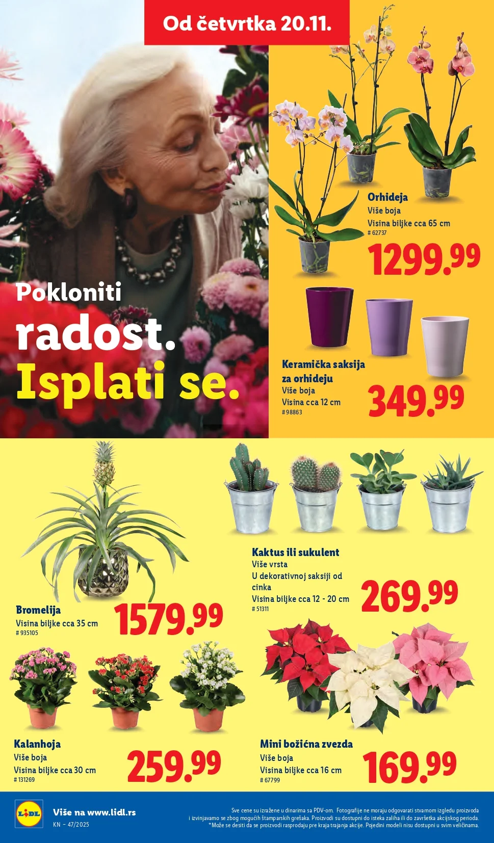 Lidl katalog 20-27.11.2025.